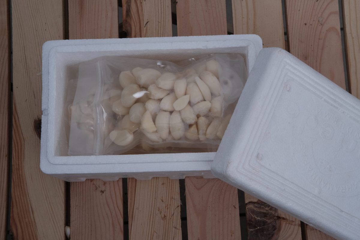 Soyulmuş Sarımsak 1000 GR - Görsel 5