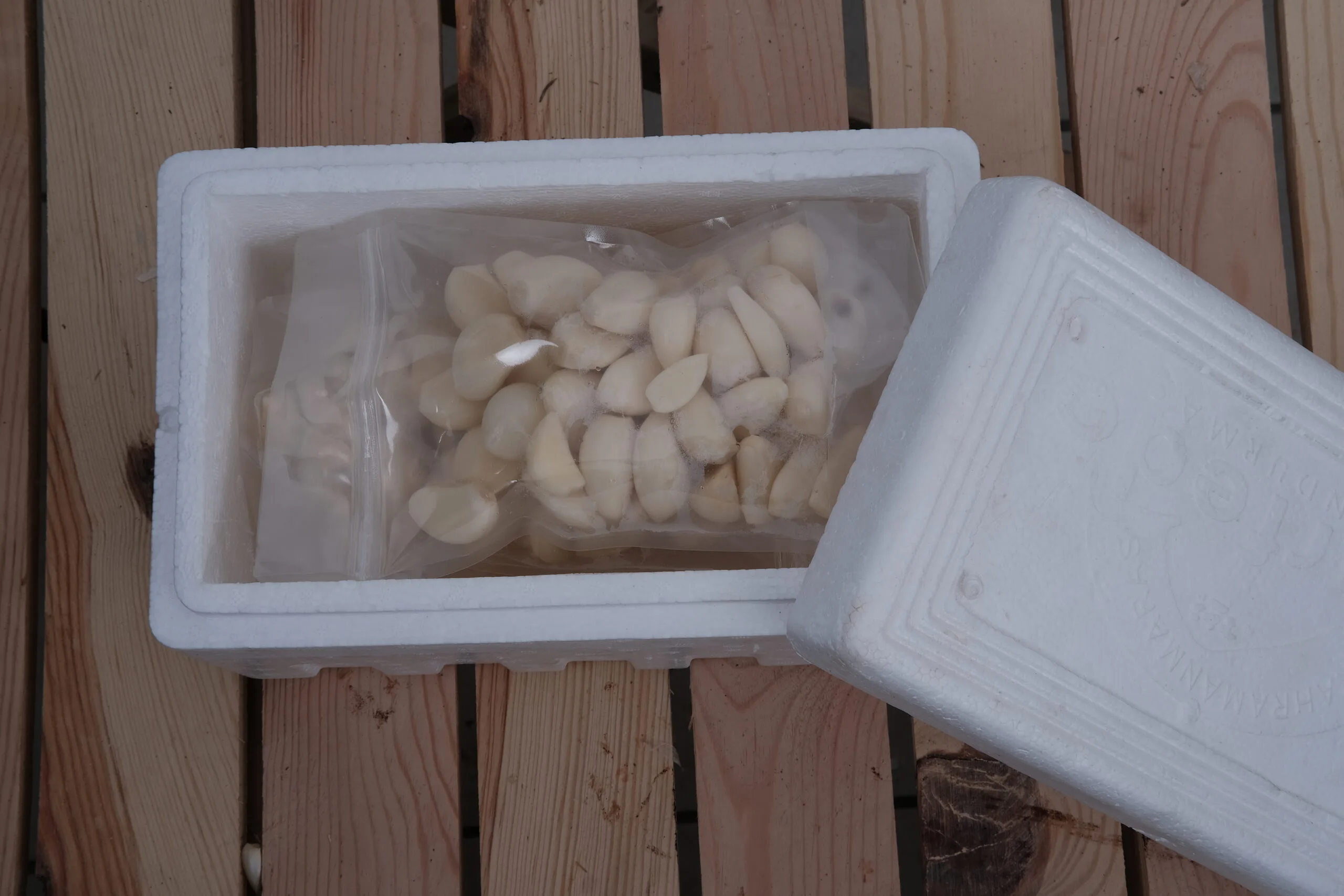 Kısmen açılmış beyaz köpük bir soğutucuda, ahşap bir yüzeye yerleştirilmiş, ağzı kapalı plastik bir torba Soyulmuş Sarımsak 1000 GR (soyulmuş sarımsak) bulunmaktadır.