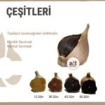 Siyah Sarımsak Püresi (100GR) - Görsel 3