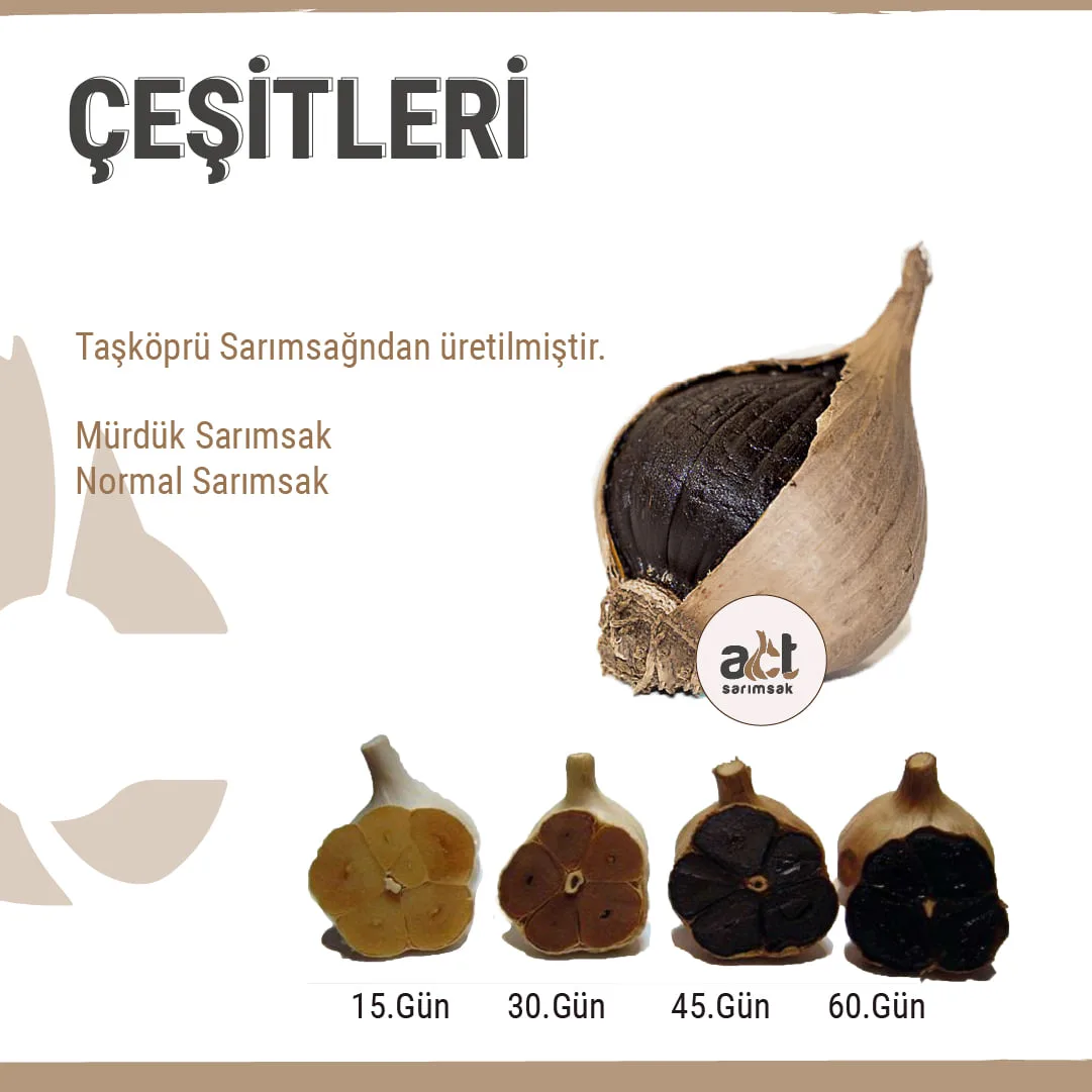 Siyah Sarımsak Püresi (100GR) - Görsel 3