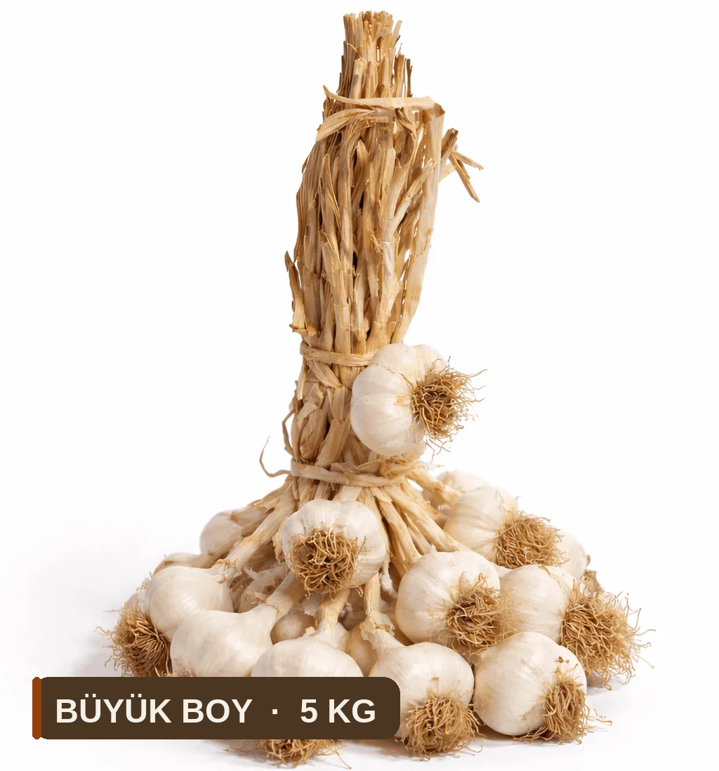 Büyük Boy 5 KG El Bağı Büyük Hakiki Taşköprü Sarımsağı (5KG) - Görsel 1