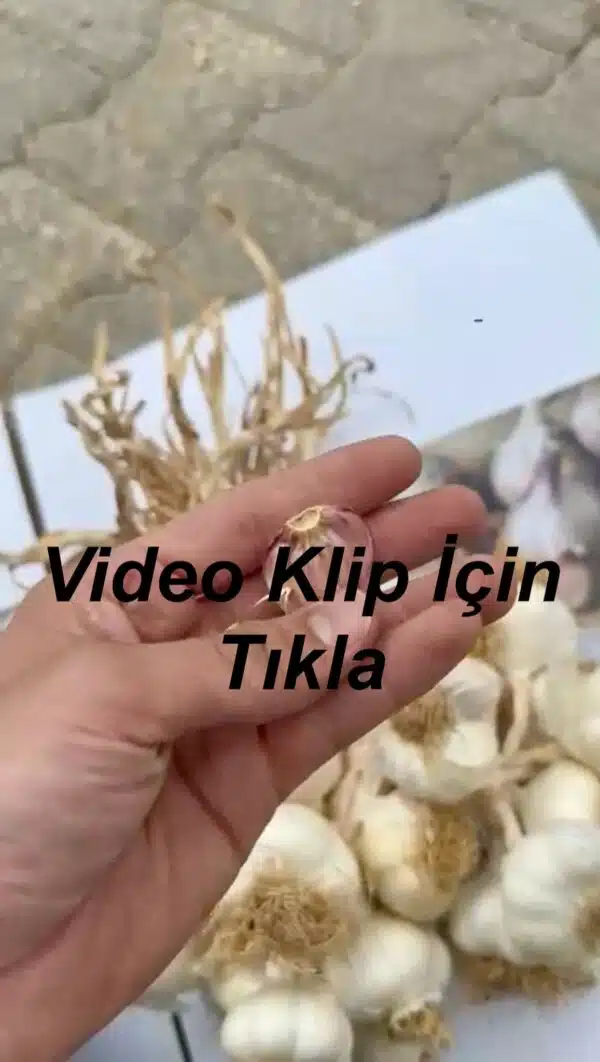 Taşköprü Sarımsak Video Görseli
