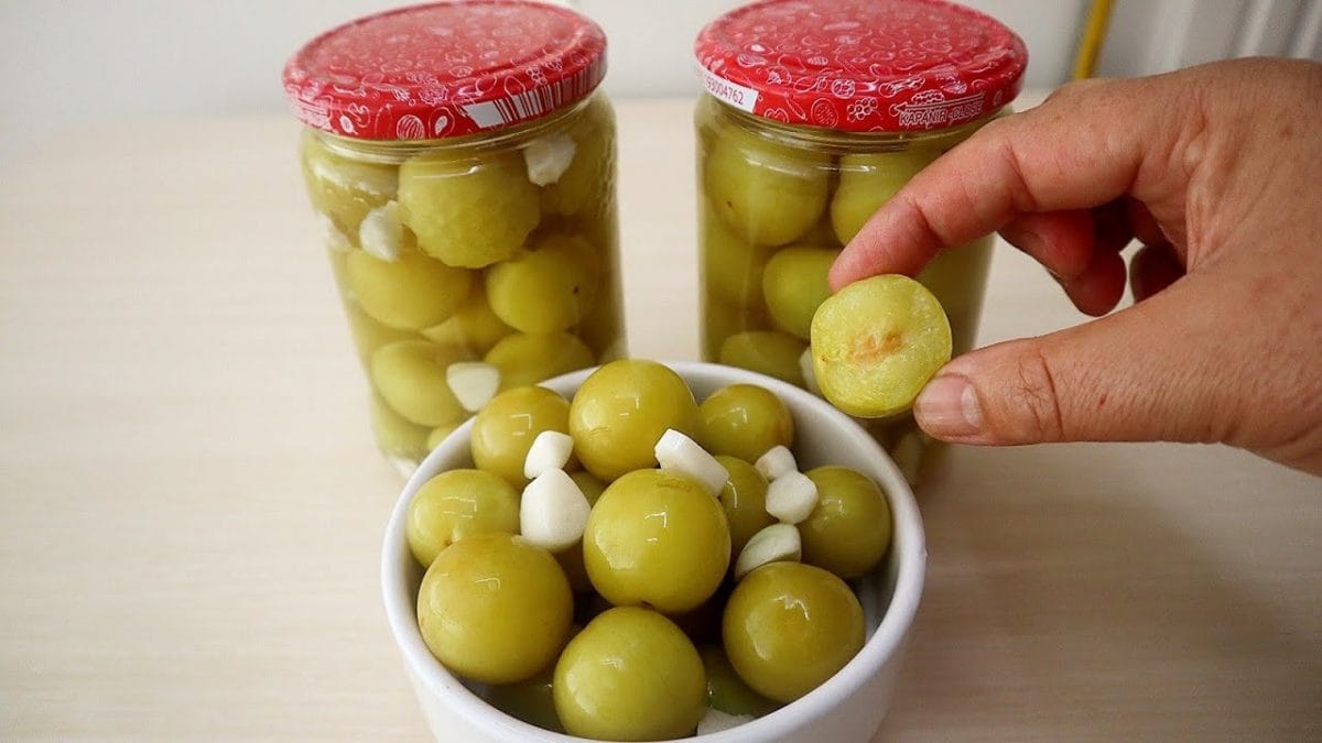 Erik Turşusu - Görsel 2