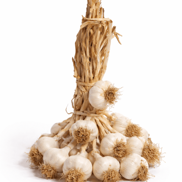 El Bağı Orta Hakiki Taşköprü Sarımsağı (5KG)